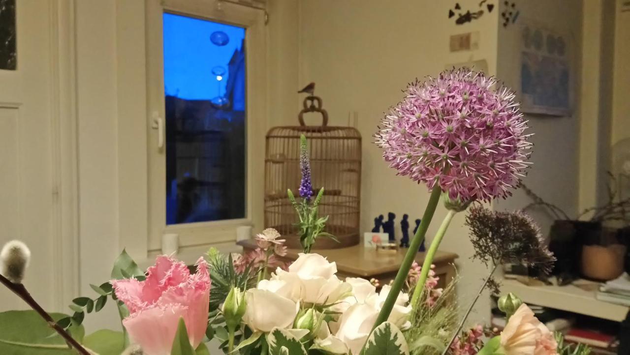 Rachel Bed & Breakfast บรูจส์ ภายนอก รูปภาพ