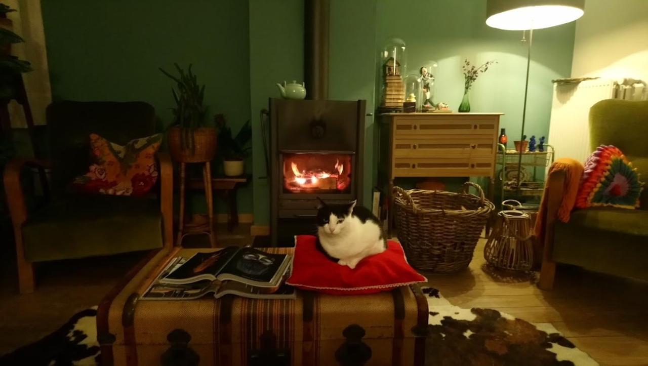 Rachel Bed & Breakfast บรูจส์ ภายนอก รูปภาพ